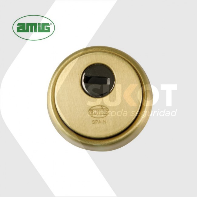 Amig - Escudo de seguridad para puerta, Latón, Cuerpo reforzado en acero  sinterizado, Antitaladro, Color latón - dorado